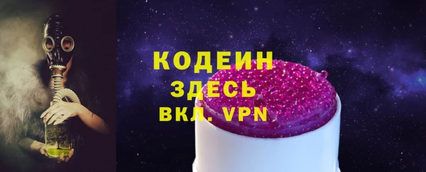 хмурый Алзамай