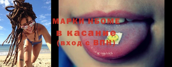 хмурый Алзамай