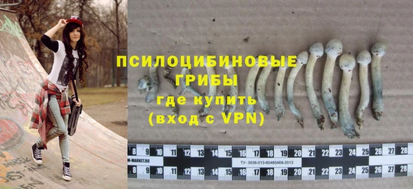 синтетический гашиш Алексин