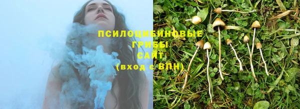 синтетический гашиш Алексин